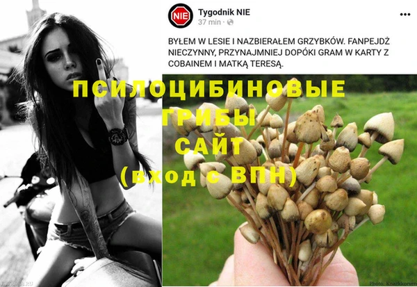 а пвп мука Балахна