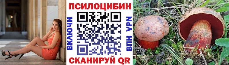 Галлюциногенные грибы прущие грибы  Купить где  Буйнакск 